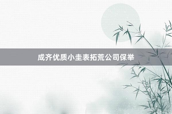 成齐优质小圭表拓荒公司保举